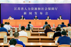 江苏省社会保障和人力资源,江苏省社会保障与人力资源协同发展概览