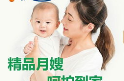 育儿嫂的价格,不同级别、地区与服务内容影响揭秘