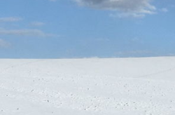 娱乐吃瓜洲,揭秘娱乐圈背后的那些事儿