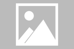 奉贤泰禾海上院子官方售楼处宣布：滨海诗意住处别让“竞业”放大化及自酿葡萄酒易甲醛超标这几样食品别本身做！-®泰禾海上院子