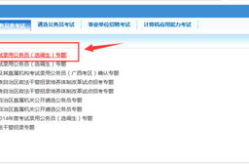 广西人事考试信息网,考试资讯与政策解读汇总