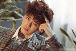 娱乐吃瓜蜀黍任嘉伦,娱乐吃瓜蜀黍的星光璀璨之路